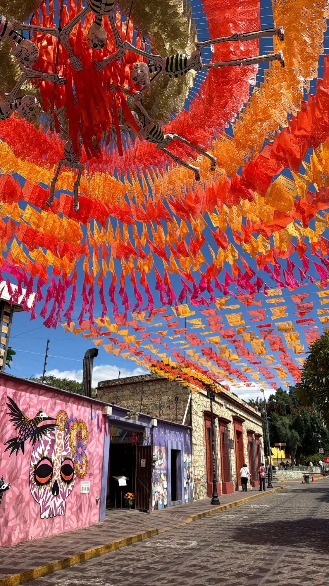 Day of the Dead in Oaxaca: A Walk Between Two Worlds 🕯️🌼