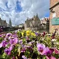 Free Tour Brujas, su historia y su presente.
