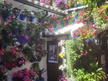 Exclusive Free Tour of the Patios of San Basilio