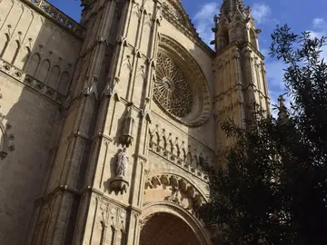 Palma entdecken: Eine Tour zu den wichtigsten Sehenswürdigkeiten der Stadt