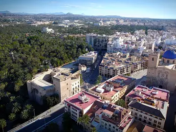 Essential Elche with a local guide: palm trees, history, and curiosities