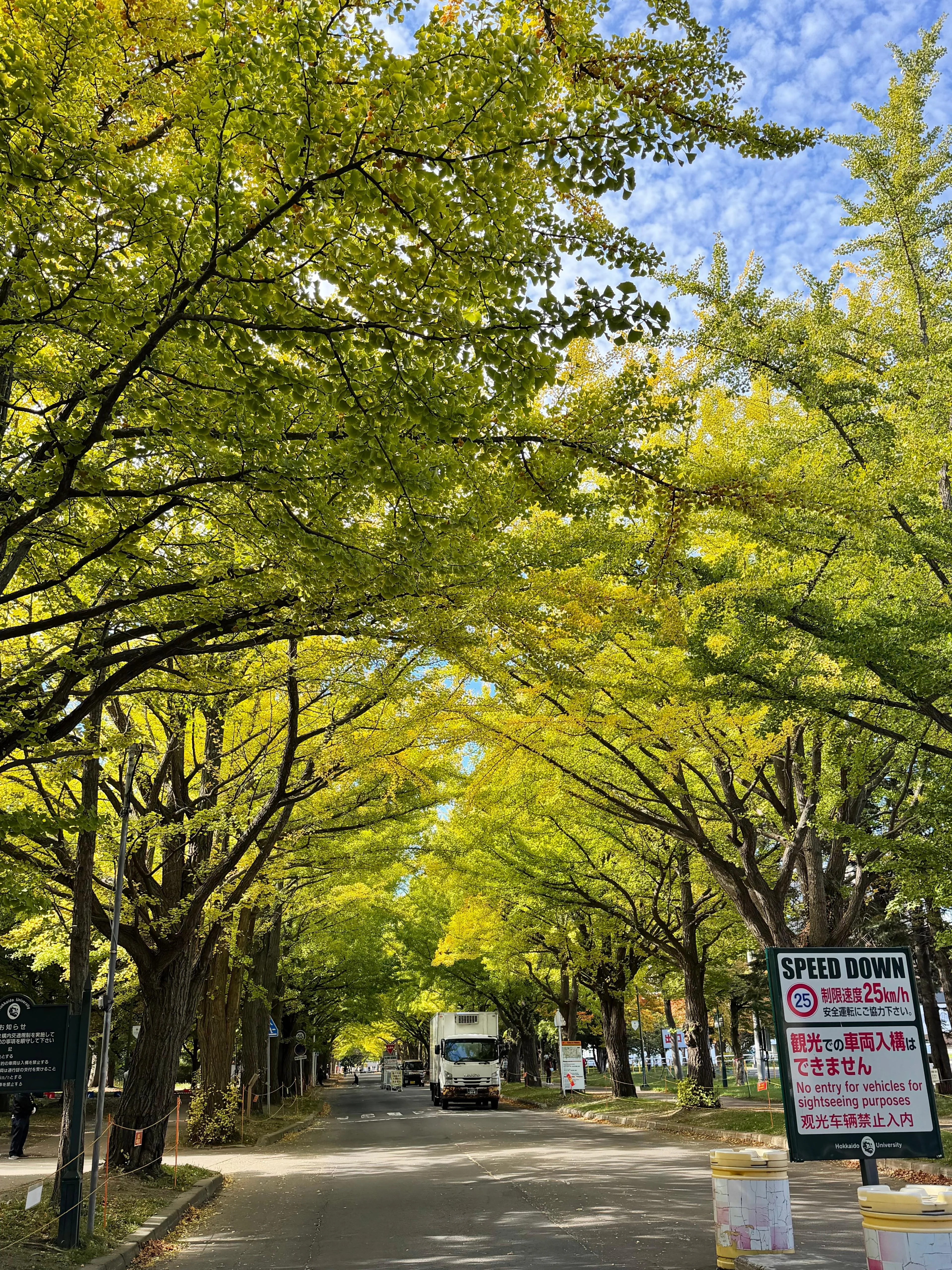 Sapporo Straßenführung (Erkunden Sie Geschichte und Kultur)