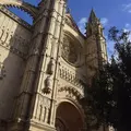 Palma entdecken: Eine Tour zu den wichtigsten Sehenswürdigkeiten der Stadt