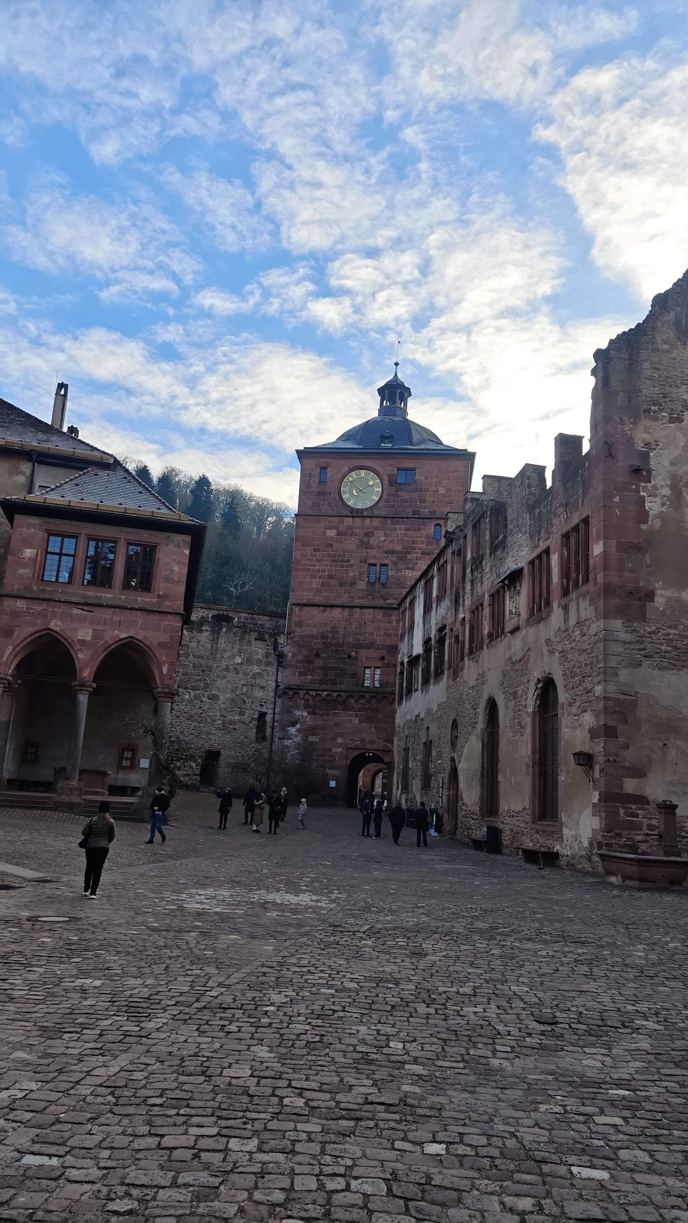 Ruins, Romance & Red Wine: Free Walking Tour of Heidelberg Castle