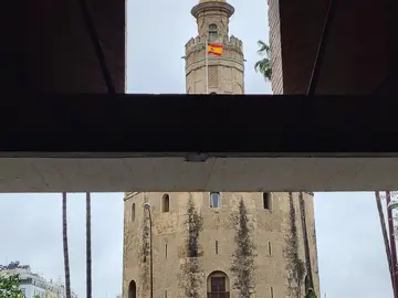 Free Tour Seville: Port of the Indies in Spanish with Official Guide 
