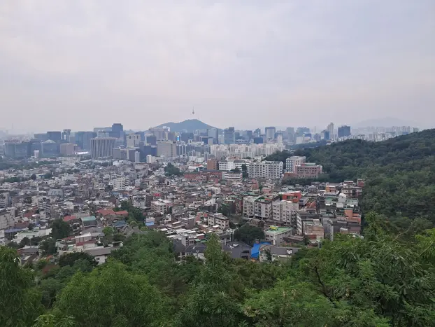 Hidden Gem in Seoul - A Serene Slow Walk from Seochon to Buam-dong with a Certified Guide 