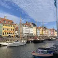 Paseando por Copenhague. Historia, cultura y vida local, lo esencial de la ciudad.