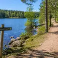 Philosophical tour through Oslo's nature