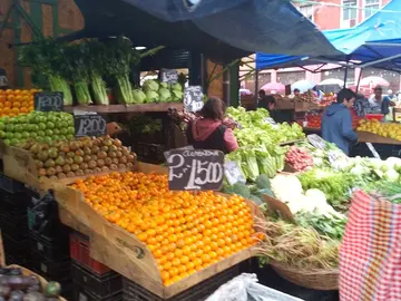 Free tour to the markets of Valparaíso