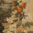 Constanza