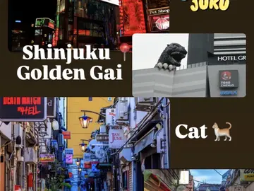 Shinjuku: Cat, Food Alley e Golden Gai Walk