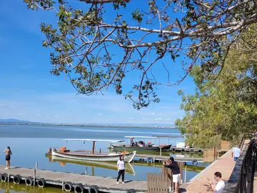 Bike ride through the Albufera with Horchata and Fartons tasting