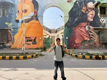 New Delhi Street Art Tour and Lodhi Garden  heritage walk