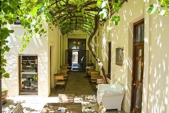 Our Roots, Our Freedom: The Full Story of Cape Town