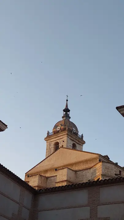 Una passeggiata reale: origini e storia.
