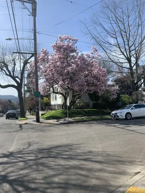 Southeast Portland: The Good Life