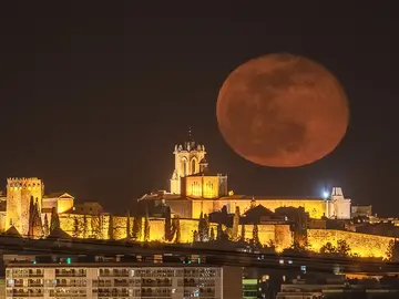 Free Tour Nocturno con "Misteriosa Tarraco" 