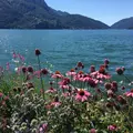 Loving  Lugano  Like  a  Local