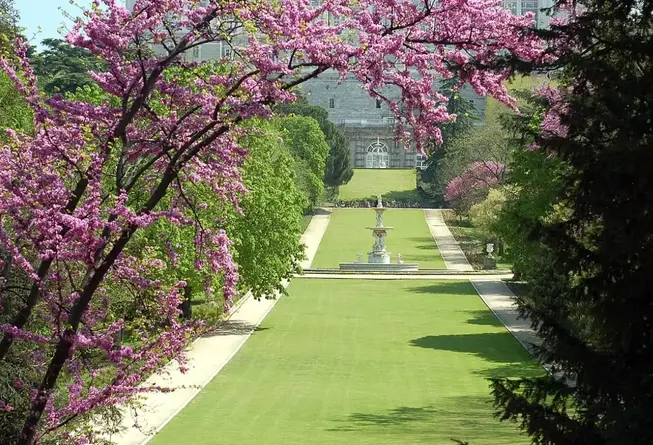 Tour image 5