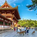 Nara: Everything you need to know! (More than just deer)        