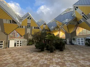 Rotterdam Revealed: City Highlights Walk with a Local