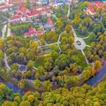 Whispering Paths: Forest Bathing in the Heart of Vilnius