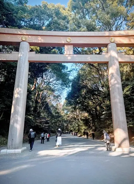 Free tour Harajuku: Santuarios, Moda y rincones Kawaii