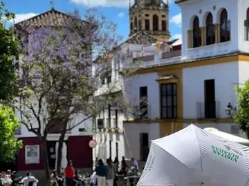 Free Tour of the Center and Jewish Quarter of Córdoba with a local guide