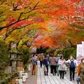 Ishiyama-dera Temple: History, Legends, and Seasonal Beauty