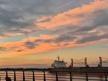 Free Tour Puerto Norte ⚓️🏗🚢+ Museo MACRO🌆