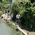 Esplora l'ignota Chiang Mai in bicicletta. Storia / vibrazioni locali / tranquille pedalate notturne