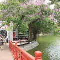 FREE TOUR: Hanoi Old and French Quarter