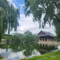 Free walking tour in Gyeongbok palace, Gwanghwamun and Insadong