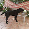 Esther