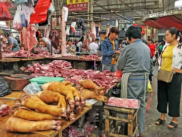 Free Chengdu Wet Market Walk & Night Market Food Adventure