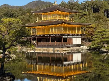 Kinkaku-ji Highlights Tour: Explore Kyoto’s Iconic Golden Pavilion