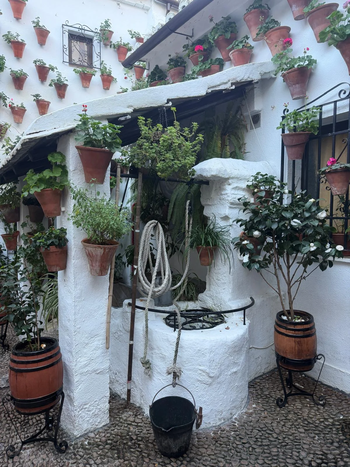 Free Tour Exclusivo por los Patios de San Basilio