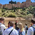 🥇PLANAZO EN MÁLAGA🌟 Free Tour Málaga IMPRESCINDIBLE 1´45h 