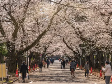 Ueno Free Tour - Life and Death in Tokyo: A Journey Through Japanese History and Spirituality