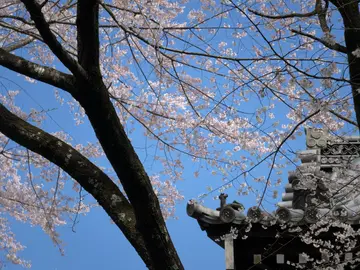 Folded Millennia — Small Group Walking Reverie Through Kyoto's Living Time-Labyrinth(Limited to 6 Guests)