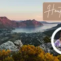 Magical Hout Bay: Between the Mountain and the Sea