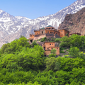 Day trip to the Atlas Mountains with camel rides