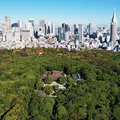 Tokio: Meiji-Schrein-Rundgang – Shintoismus und Kaiserliches System