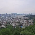 Hidden Gem in Seoul - A Serene Slow Walk from Seochon to Buam-dong with a Certified Guide 
