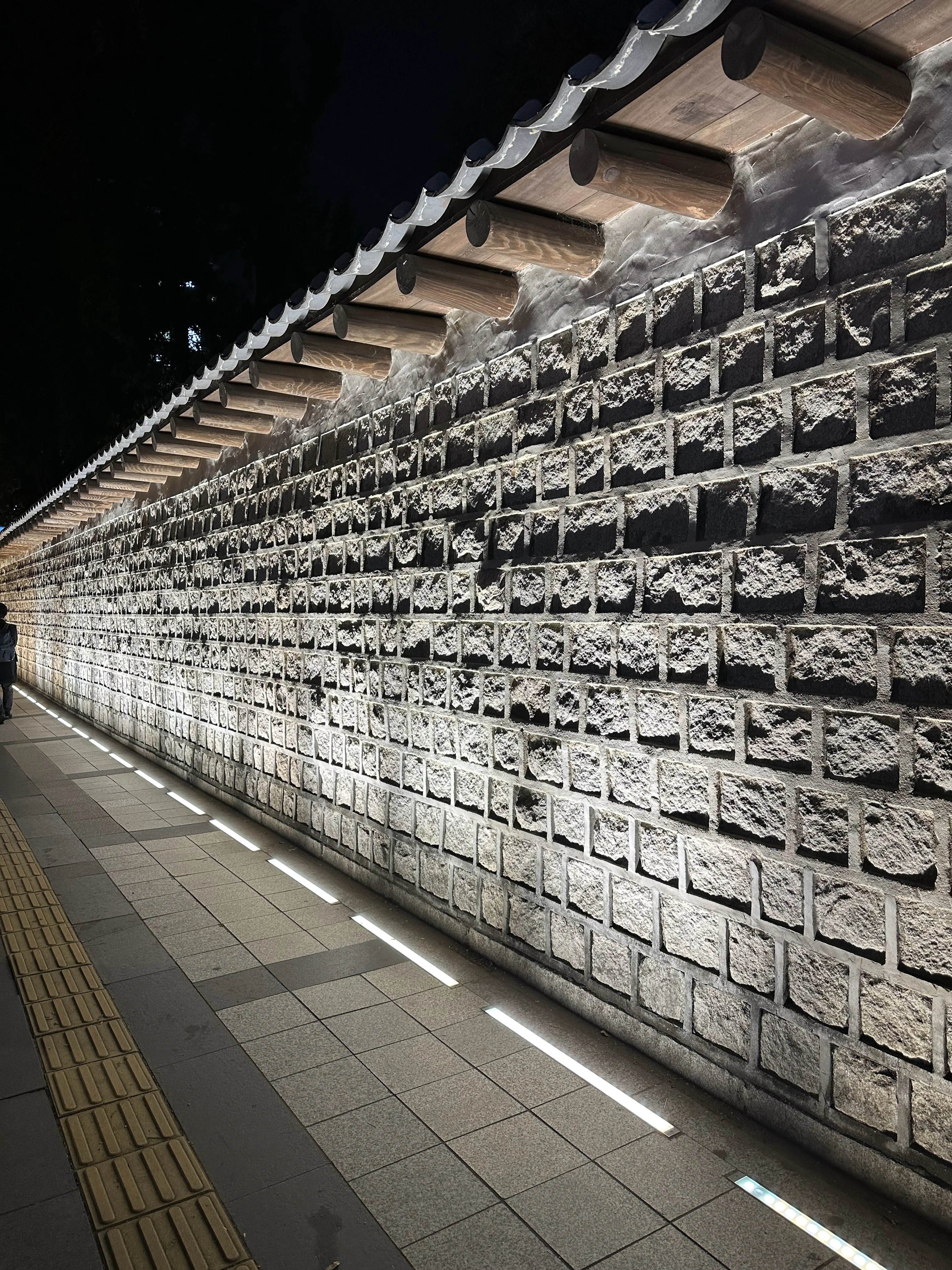 Nachtwanderung zu den Wahrzeichen von Seoul