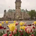 Tour histórico de la capital de Canadá