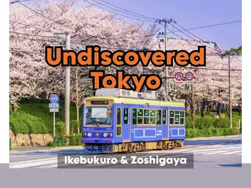 【Tokyo Oculto】La vida local mas alla de lo turistico (Ikebukuro & Zoshigaya)