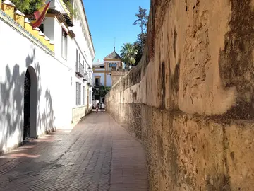 Free Tour: Barrio di Santa Cruz, l'Antico Quartiere Ebraico 