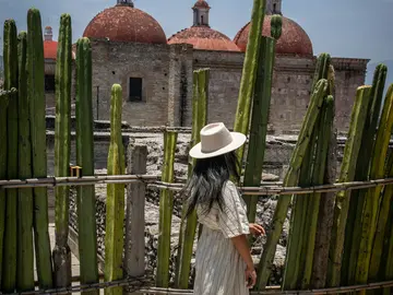 🏆Free Tour of Oaxaca with a Local Guide