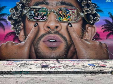 Wynwood Street Art and History Tour